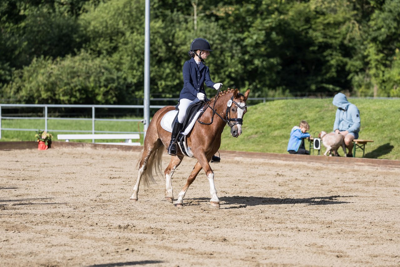 Bild 306 - Pony Akademie Turnier